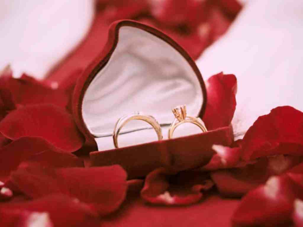 Caixinha vermelha em formato de coração com duas alianças dentro. Em cima de um lugar com várias pétalas de rosas vermelhas em cima.