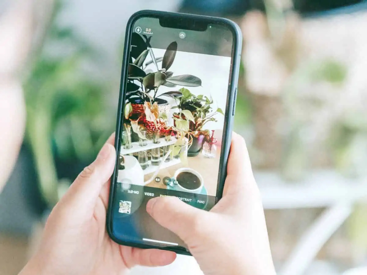 Como tirar fotos de produtos com o celular? - foto-plantas-celular