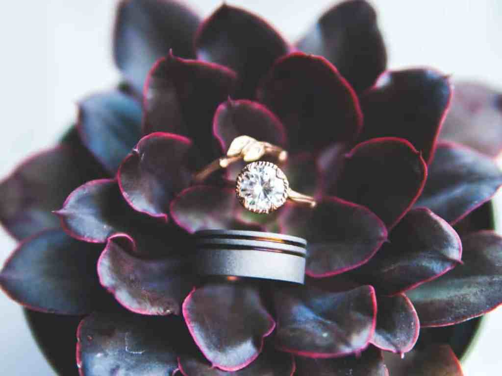 Aliança e anel solitário apoiados em uma flor.