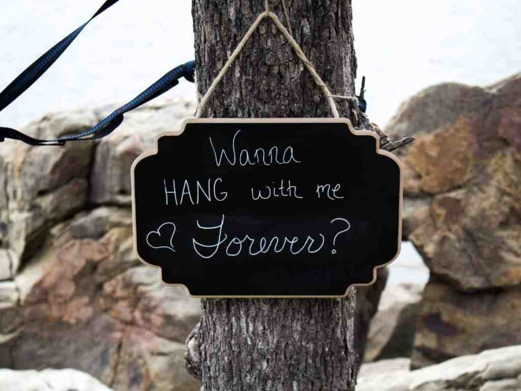 Placa presa na árvore escrito "wanna hang with me forever? "