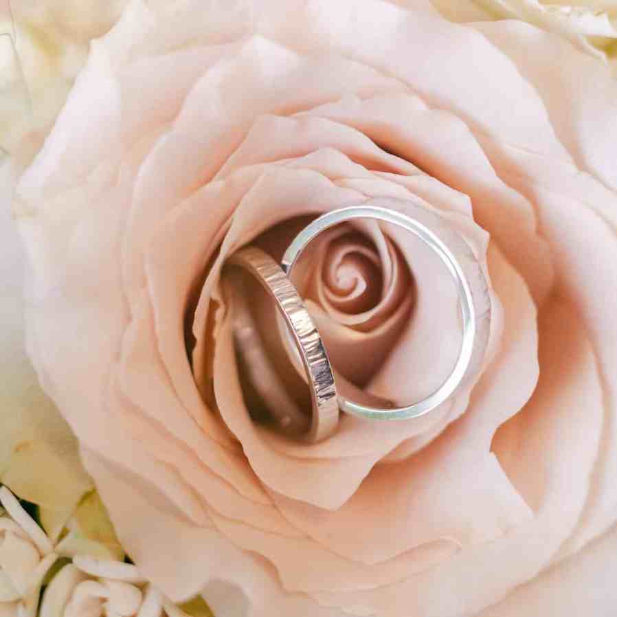Par de alianças prata fina em cima de uma flor rosa