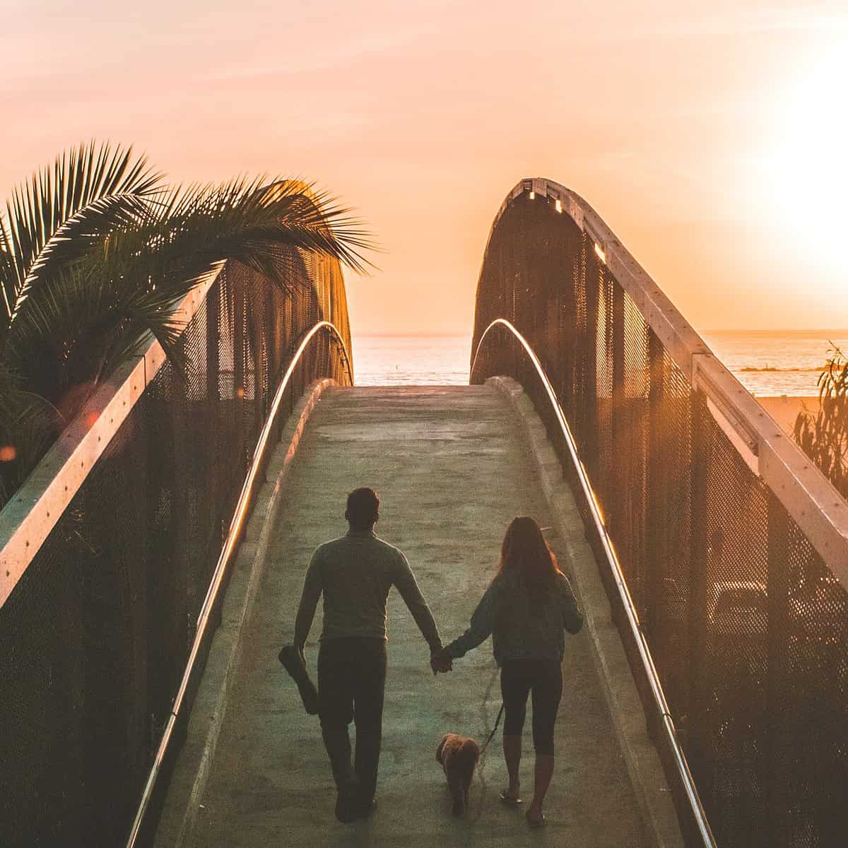 Casal de mãos dadas caminhando com um cachorro atravessando uma ponte