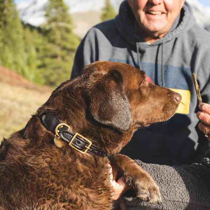 Casal de idosos mostrando um graveto para seu cachorro - como adotar um pet pode ajudar no seu relacionamento?