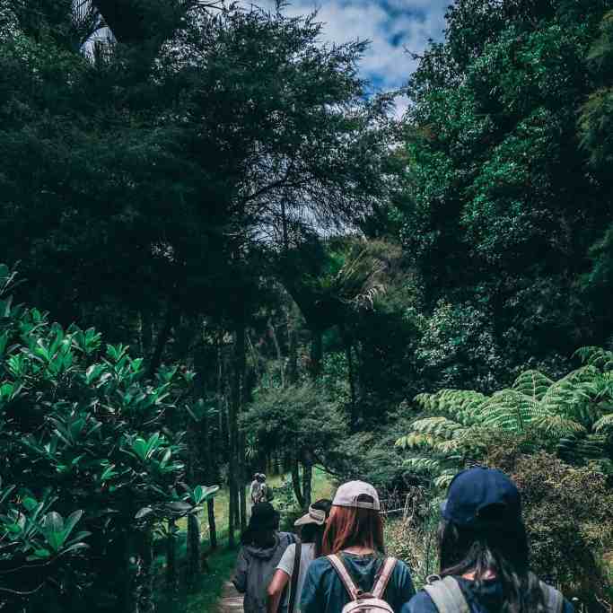 Despedida de Solteira: Ideias para se divertir e criar memórias incríveis - Viagem despedida de solteira Fazendo trilha com amigas