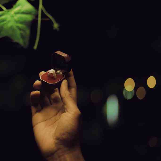 10 melhores anéis de noivado em 2023 - Melhor anel de noivado 1 Caixinha contendo anéis de noivado