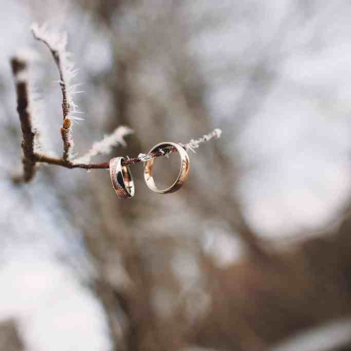 Quem deve pagar as alianças de casamento? - Quem deve pagar aliancas de casamento 2 Alianças rosé penduradas em galhos - primeira imagem do texto "quem deve pagar as alianças de casamento? "