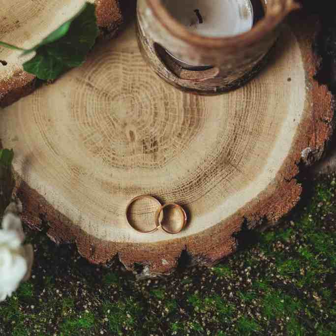 Quem pode levar as alianças na cerimônia do casamento? - Aliancas de casamento no tronco em uma grama verde Porta alianças de madeira - quem pode levar alianças na cerimônia do casamento?