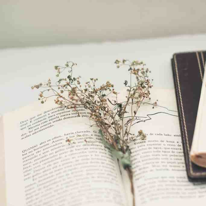 Dia das Mães: 10 Presentes Inesquecíveis e Especiais - Livros para dia das maes Livros com óculos em cima e flores