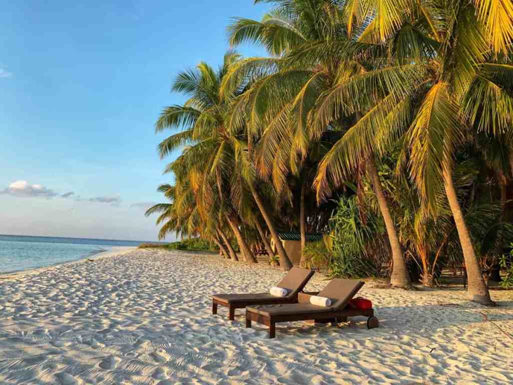 Praia com coqueiros e dois lugares para deitar vazios