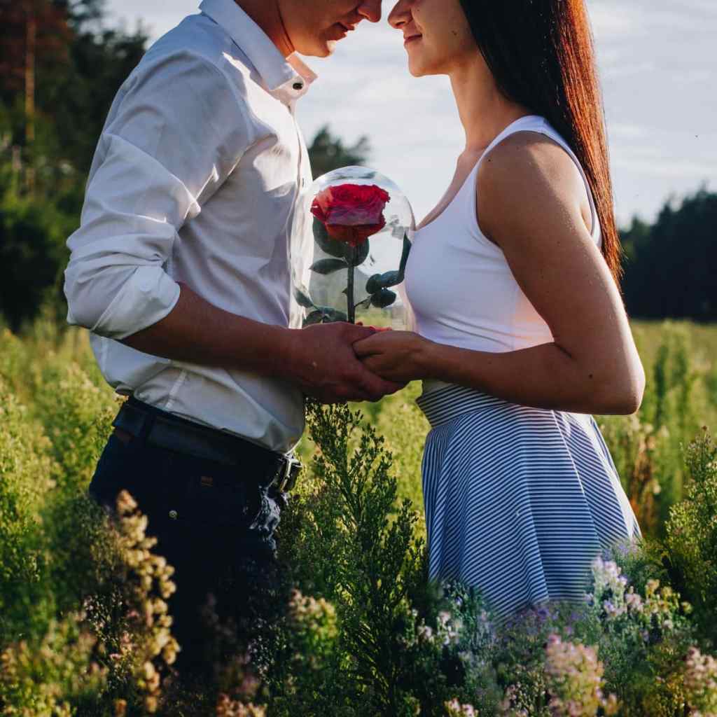 Em um campo ao ar livre, homem e mulher de mãos dadas e segurando uma rosa que está dentro de uma pequena redoma de vidro
