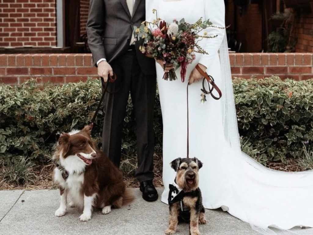 A foto mostra o noivo e a noiva do busto para baixo, ambos estão segurando coleiras com cachorros