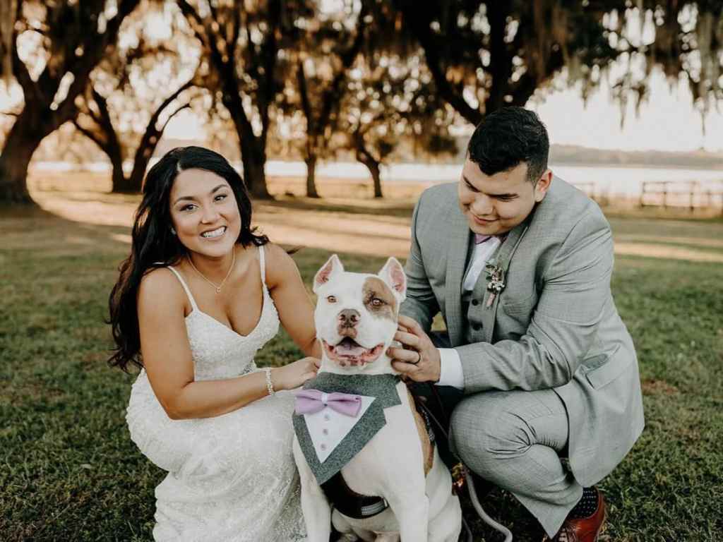 Noivo e noiva agachados ao lado do cachorro